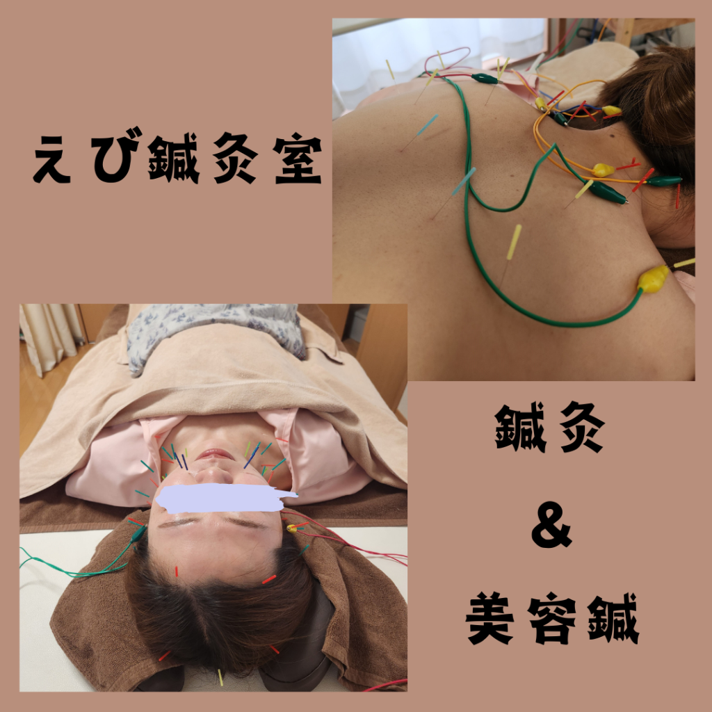 セットメニュー